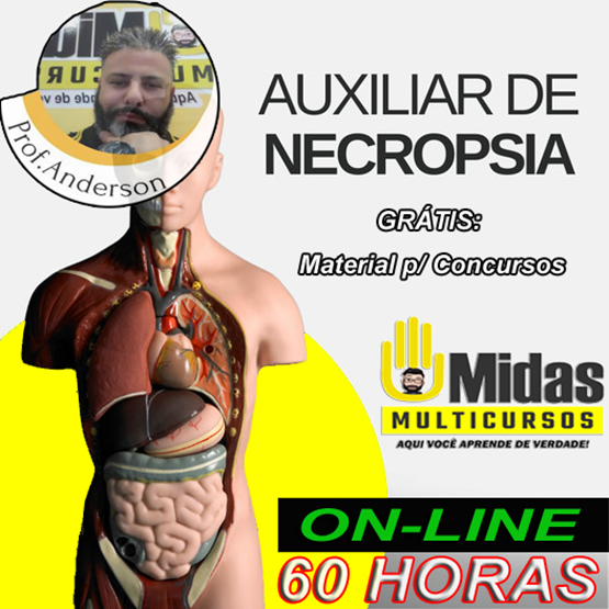 AUXILIAR DE NECROPSIA